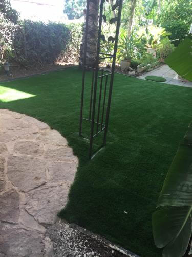 דשא סינטטי וצמחיה